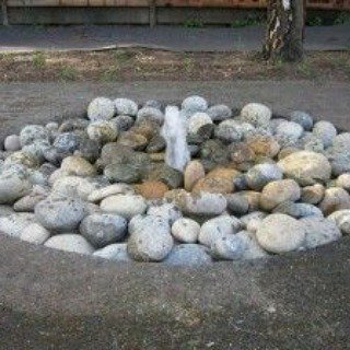 Makeyour_Garden's tweet photo. https://t.co/PRyniFiLYT