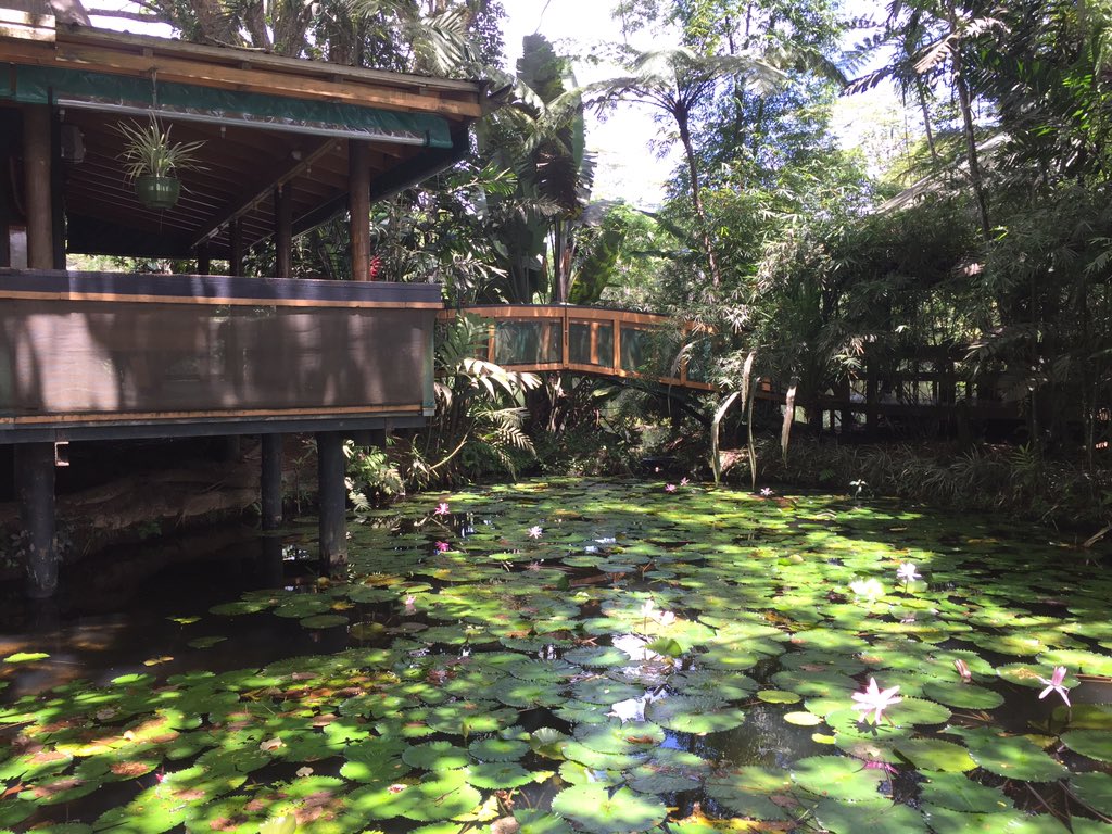 DevelopmentMin's tweet image. Colo-i-Suva eco-resort Fiji. Can you spot where the quarry was?? #DevelopmentMinerals