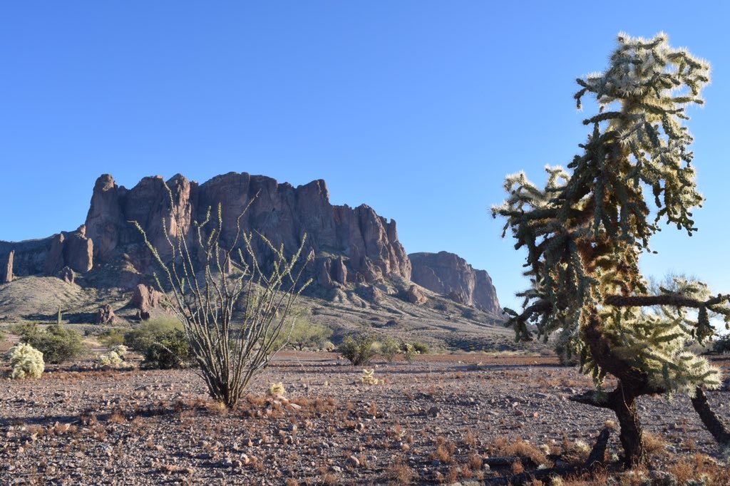 WeatherChitChat's tweet photo. Is there really a bad day to hike the #Superstitions?  I don't think so!  Here's the current view! #12news #azwx https://t.co/QmmH3LR4ar