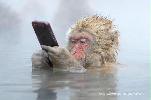 ASAPRockyTRILL's tweet photo. When you're closing apps and you accidentally close the music app https://t.co/ZYqbEJd4Ne