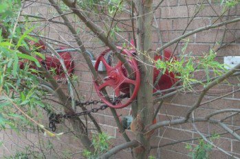 Sometimes you just have to wonder...
Fire system valve or expensive landscaping decoration?