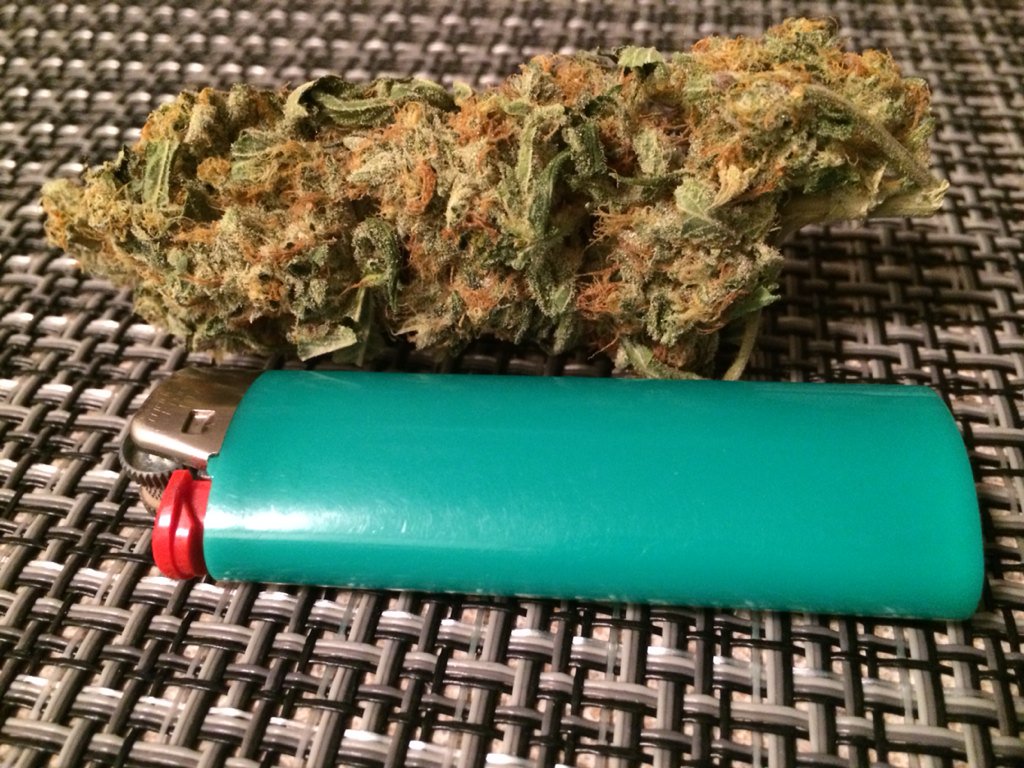 msustonerchicks's tweet photo. Northern Lights #Yumm 😍🙈💚 https://t.co/EUQCOIIOrz