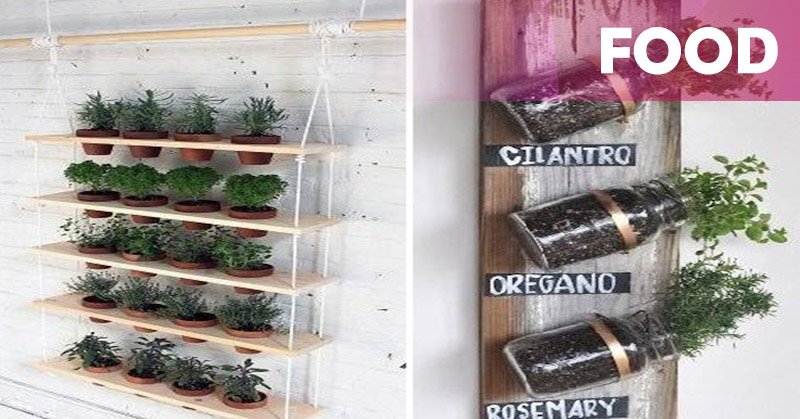 Ibu-Ibu Sedang Gandrung Berkebun Bumbu Dapur okz.me/Utgz