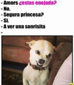 karolinadelgad's tweet photo. Jaja asi soy yo. https://t.co/JJmtusfotN