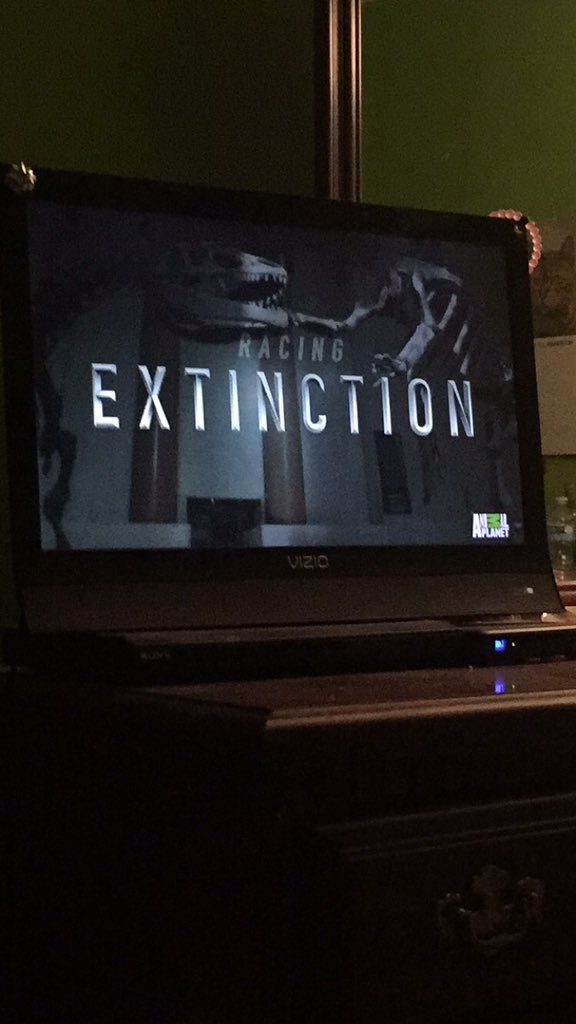 BenjaminWhite21's tweet photo. #RacingExtinction #savethewhales #ebapes @mrwsilva https://t.co/W9iKWA9Ct6