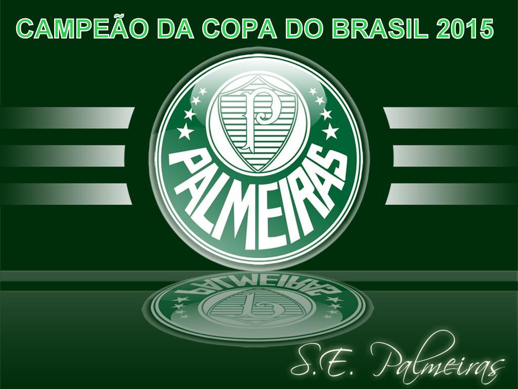 SPINGRV's tweet photo. PARABÉNS PALMEIRAS. CAMPEÃO DA COPA DO BRASIL 2015 https://t.co/UlLqF44nqZ