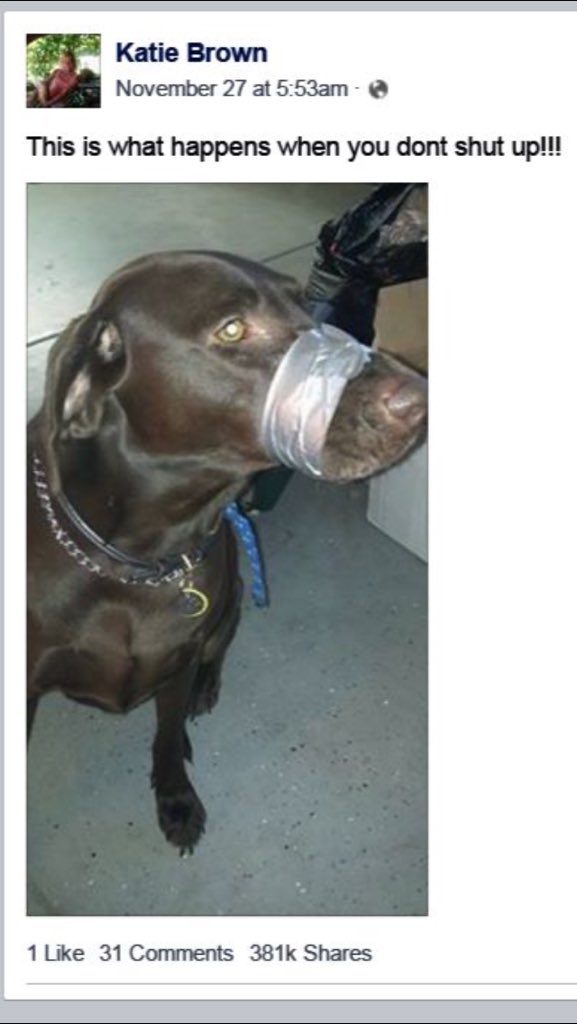 This_is_Connie's tweet photo. The woman who taped her dog's mouth shut has been charged with animal cruelty! #justice https://t.co/pobRSPjFOt