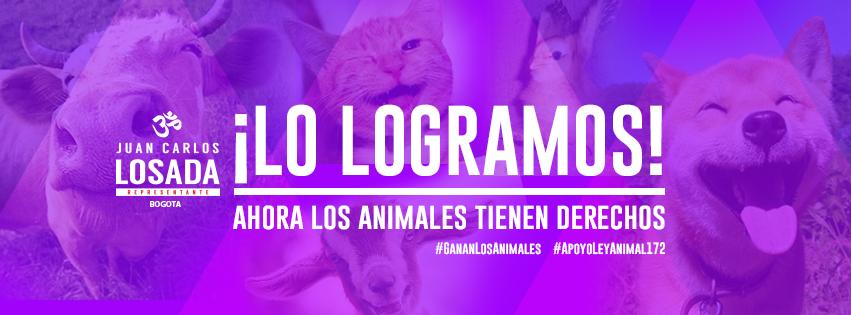 JuanKarloslos's tweet photo. Lo logramos, nuestro proyecto de ley 172 es una realidad. De corazón GRACIAS a todos por el apoyo. https://t.co/iZ1nFs3UtD