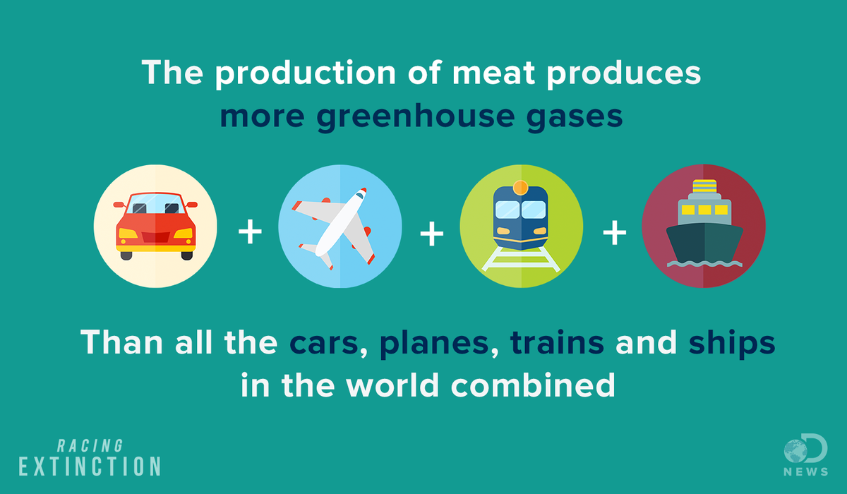 The more dependent we are on meat, the greater the carbon dioxide emissions. via @DNews #Racing Extinction