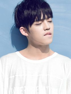 allhoshi's tweet photo. [76] seventeen s.coups aesthetic https://t.co/de6xJaABGI