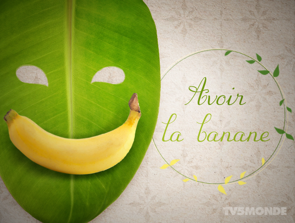 TV5MONDEKorea's tweet photo. [ 프랑스어 표현 - 음식 편 ]
Avoir la banane
직역 : 바나나를 갖다 
의미 : 큰 미소를 띠다 / 기쁘다 https://t.co/6gANB2x4UT