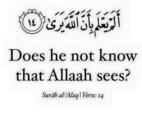 noor_saba1's tweet photo. "@AhmedRazaQadri "Does he not know that Allah Sees"?
( Surah Al-Alaq )
#HaveFear https://t.co/Xop8vnNpLk"