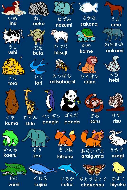 Kevin Lim On Twitter Cute Graphic About Animal Names In Japanese Language Https T Co Aoihjpeefg Twitter