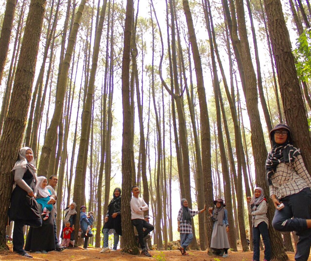 mey_ch4nt's tweet photo. Our wiken... #explorejogja @kota_jogja @infojogjakarta #pinusforest https://t.co/wuOWs9nHzM