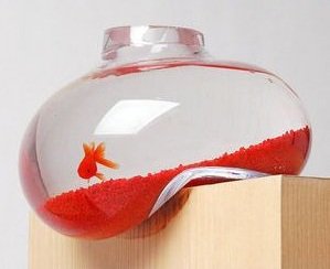 CreatrixDD's tweet photo. Creatrix Fish Aquarium #wow #amazing #awesome #fun #goodpict #funpict from https://t.co/SUMJvKFYOy https://t.co/MQnAxYHrMa