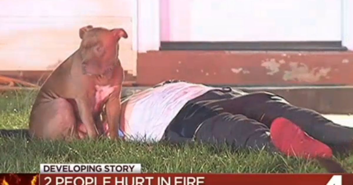HuffPost's tweet photo. Pit bull who stood by injured owner during fire is getting kicked out of town https://t.co/DoNJRAQr3h https://t.co/xNrtoBU4M3