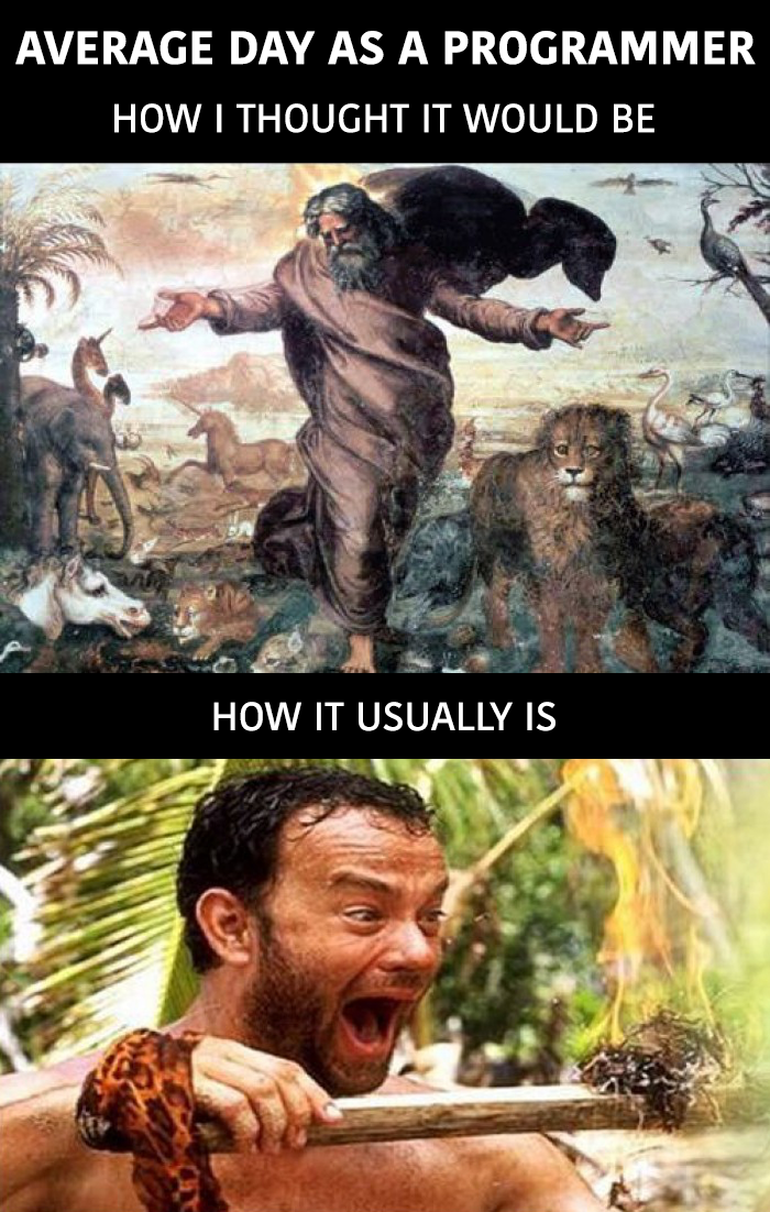 GiveMeInternet's tweet photo. Average day as a programmer https://t.co/hV7dhTy4PC