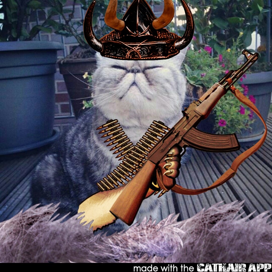 LordCutemungus's tweet photo. Cathair Apocalypse is coming to the Bay Area Pet Expo
Jan 9-10, 2016
https://t.co/wMs2L1gEE4
#catsofjihad #meow https://t.co/4VQpgSvvPO