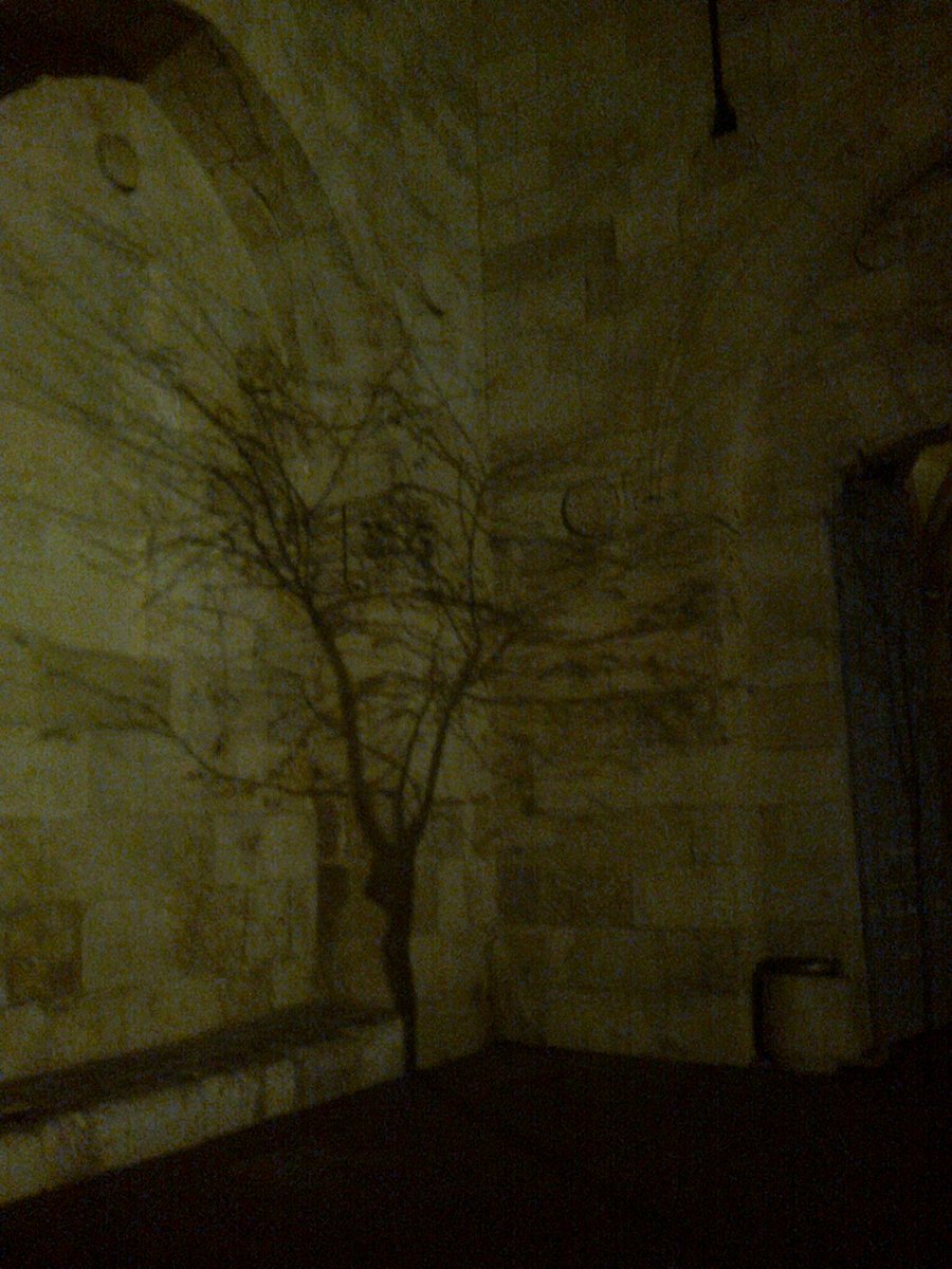 zpyarom's tweet photo. The shadows of the old city, #Jerusalem
#GoodMorningIsrael https://t.co/U8uVfPYIEB