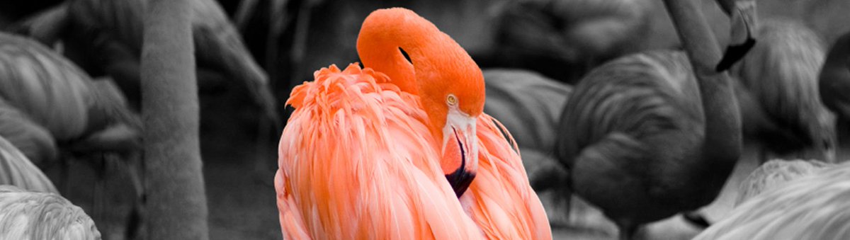 CVcoachUK's tweet photo. Stand out with a Professional #CV, Application form, Cover Letter, #Interview prep. #CVcoach https://t.co/5V99zYXeSG https://t.co/87SychfoY5