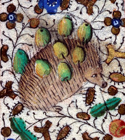 Embedded image permalink