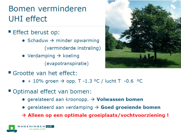 Bomen verminderen hittestress: + 10% groen > opp. Temp is - 1.3 ºC / lucht Temp -0.6 ºC. Sheet Masterclass @PPOBBF