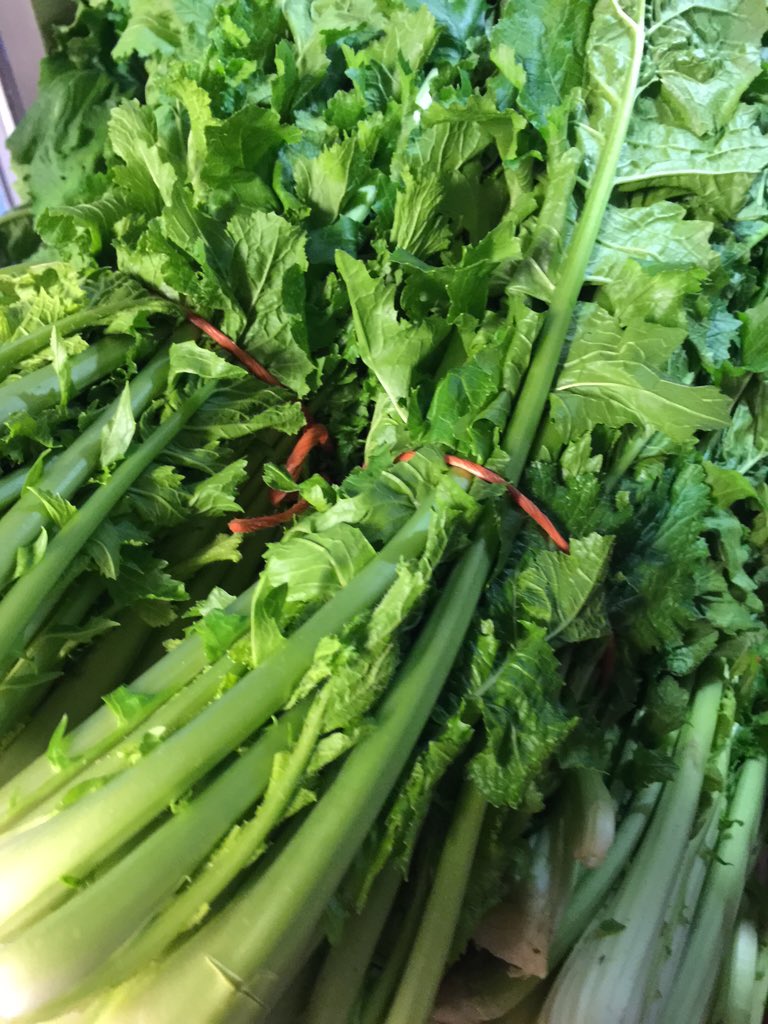 Marisco de la huerta gallega. #grelos #tierra #producto #galicia #amundiña #felizjueves