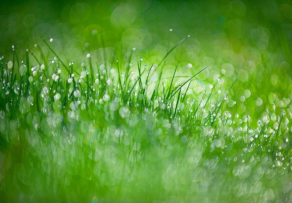 bmarczewska's tweet photo. #DonneInArte #photography #Bokeh @alecoscino @RGiandelli @cobixreyes @BrindusaB1 @lagatta4739 @VAlivernini https://t.co/oSyyqVY26e