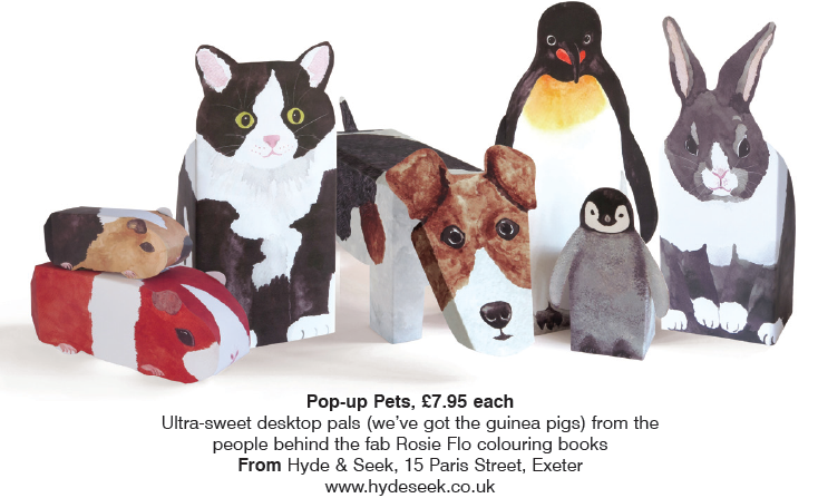 ExeterLiving's tweet image. Pop-Up Pets from @HydeSeek1 #Exeter #stockingfillers