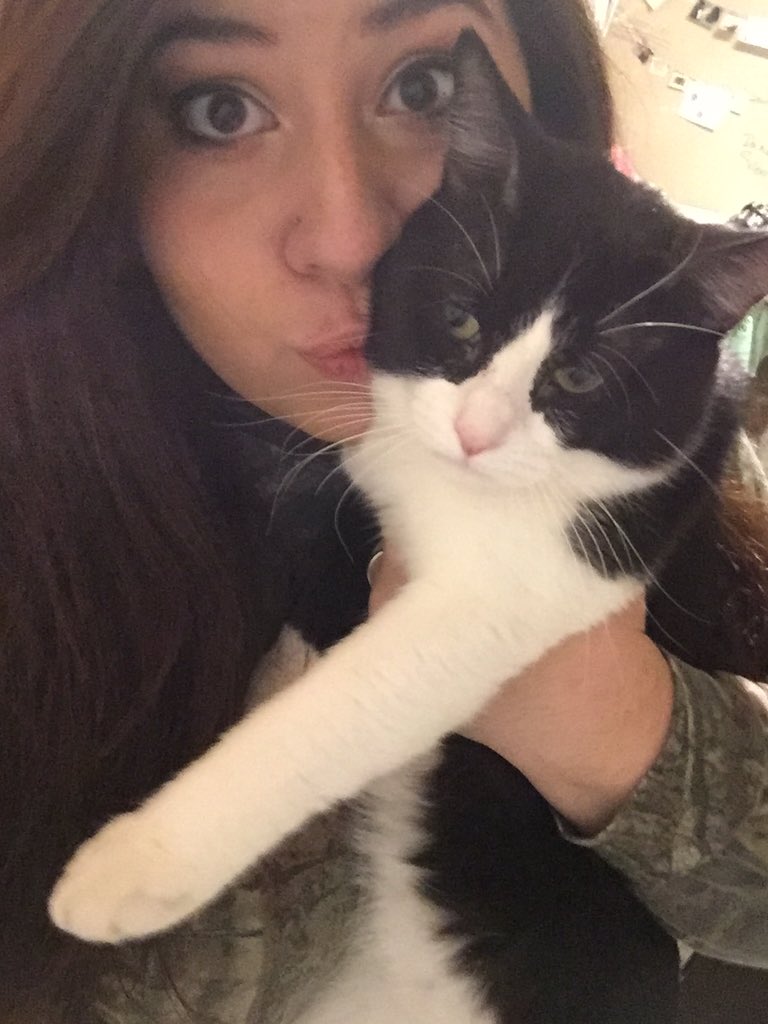 Bribee__'s tweet photo. Who needs a boyfriend? I have my roomies cat💁🏼🐈 #catlady #datelessdecember https://t.co/Hb4lVFFwr5