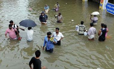 [ India News ] tweet media