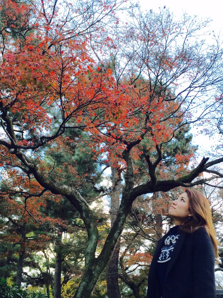 AmazingCatsJPN's tweet photo. 京都出身マジシャン篠原愛梨沙

そうだ、京都に行こう∩^ω^∩ https://t.co/Y1BCOuo8YH