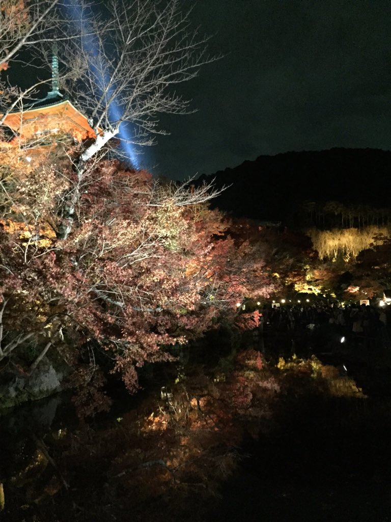 AmazingCatsJPN's tweet photo. 京都出身マジシャン篠原愛梨沙

そうだ、京都に行こう∩^ω^∩ https://t.co/Y1BCOuo8YH