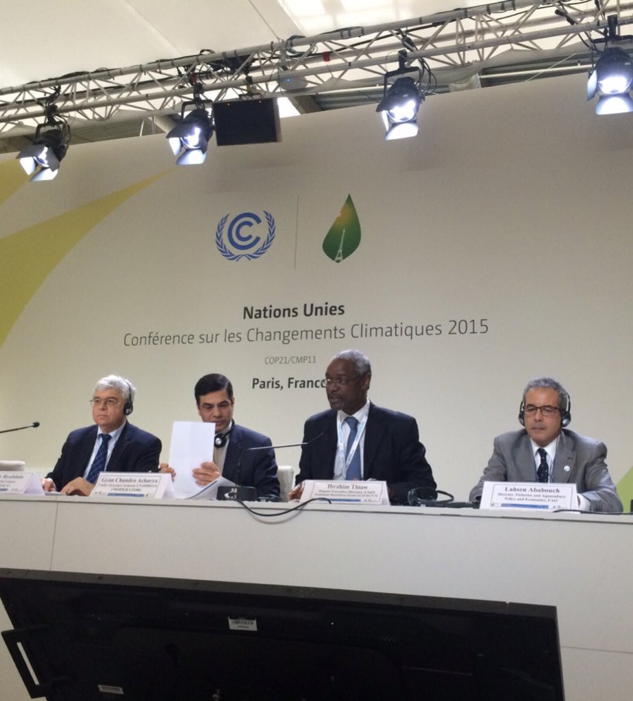 UNEP's tweet photo. Highlights from 2 Dec at #COP21 - @ibrahimthiaw at Ocean's Day &amp; speaking about #GreatGreenWall #climatechange https://t.co/8buJtriSfp