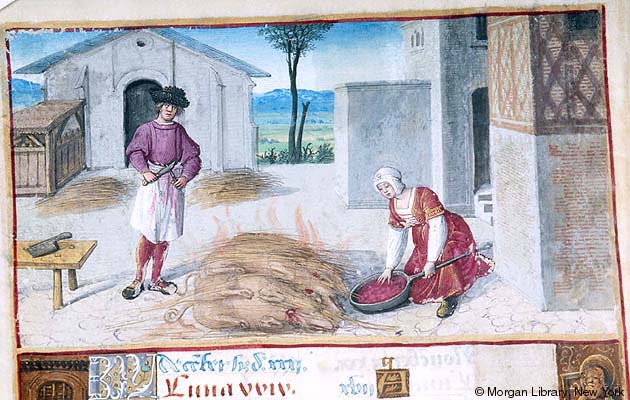 Embedded image permalink