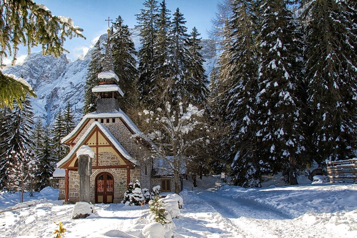 AlinaDal_F's tweet image. Nature is full of genius, full of the divinity so that not a snowflake escapes its fashioning hand. 
Henry D.Thoreau