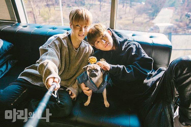 iKON_YG's tweet photo. BI &amp; JINHWAN for the new show "Mari &amp; I" https://t.co/rX5K7TFrru