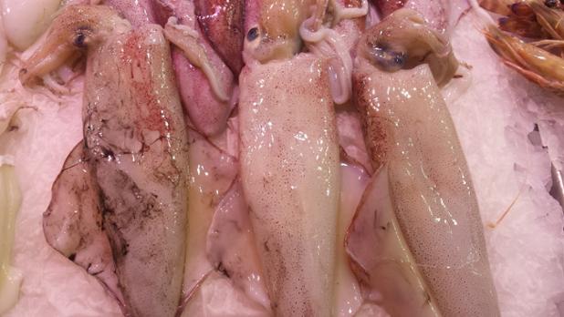 LaMarsalaVLC's tweet photo. ¿Qué os parece si con estos calamares, alcachofas y un buen arroz hacemos una paella para chuparse los dedos? https://t.co/S6YvRdE4uJ