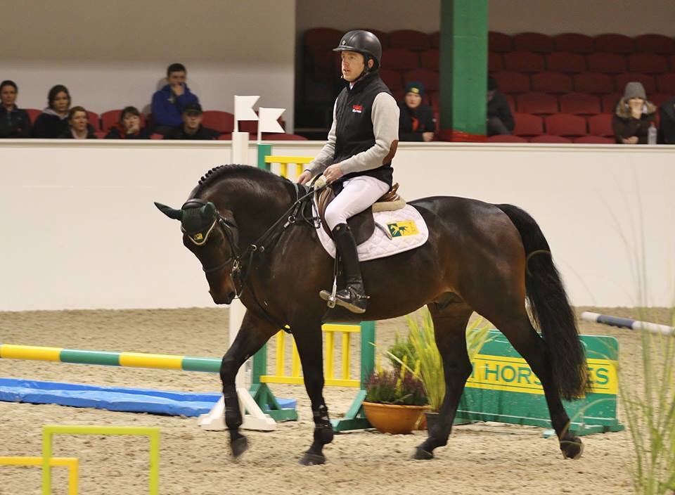TRMNutrition's tweet photo. #TBT Love this pic of MHS Going Global, looking in seriously good condition all knitted out in TRM &amp; @GainHorseFeeds https://t.co/gqo5h3VEAU