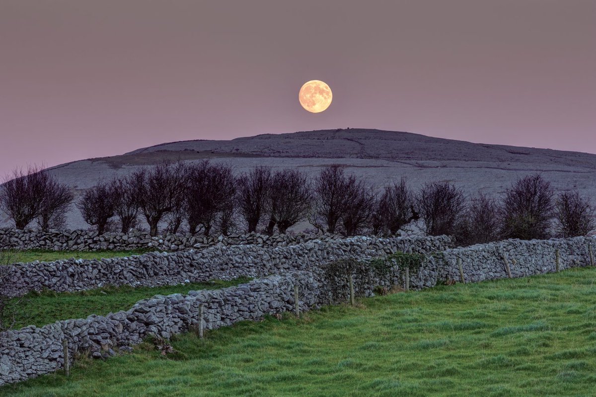 The Burren: 12 amazing photos that bring the rocky landscape to life... indo.ie/VpMeb via <a href="/Indo_Travel_/">Independent Travel</a>
