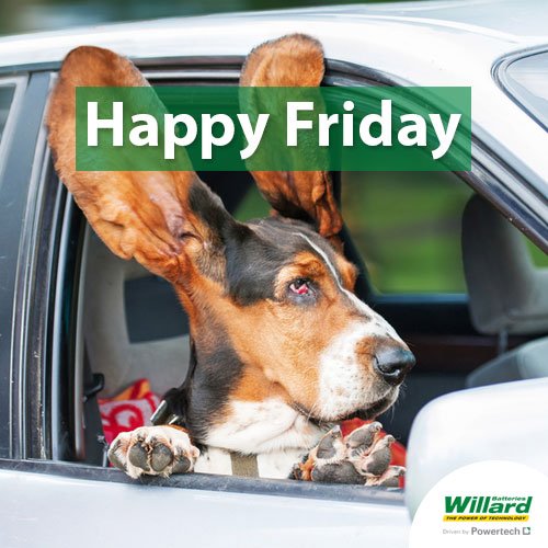 It's Friday, time to let your hair down and have fun!