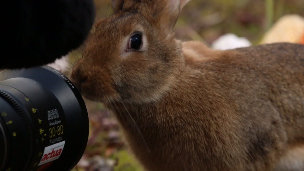 Tournage d'une campagne pour promouvoir le Bio en Moldavie #bio #tournage #actua