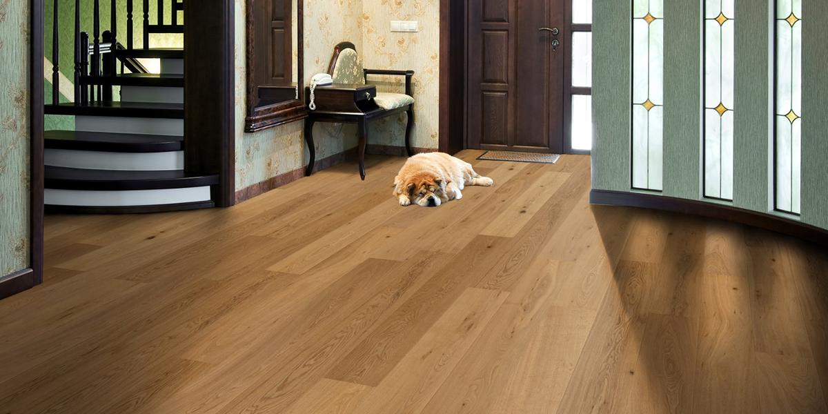 NLFloors tweet picture