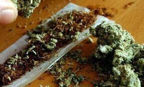 Inside Cannabis tweet media