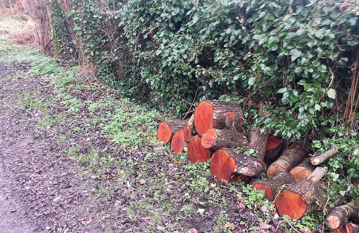 CRTrobadcock's tweet photo. Offside vegetation currently being cut back between bridge 8 &amp; 13 on the Staffs &amp; Worcester... free firewood about! https://t.co/Y8TsllsX2L