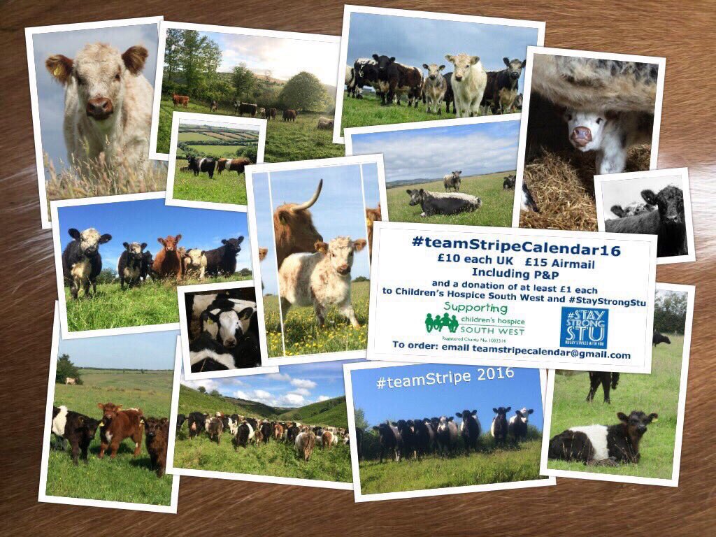 newlandfarm's tweet image. #teamStripeCalendar16 raising money for good causes @staystrongstu @CHSW #cattle #Exmoor #Galloways #grassfed