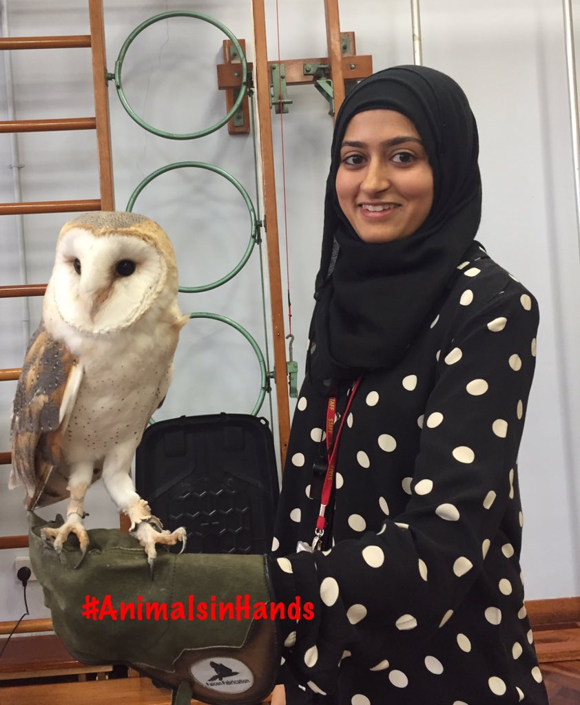 AnimalsinHands's tweet photo. Fun exciting sessions @ChuckeryPrimary #AnimalMan #AnimalsinHands #AnimalsinSchools #Schools https://t.co/4qMhpIMflY https://t.co/mecTHwGnN5