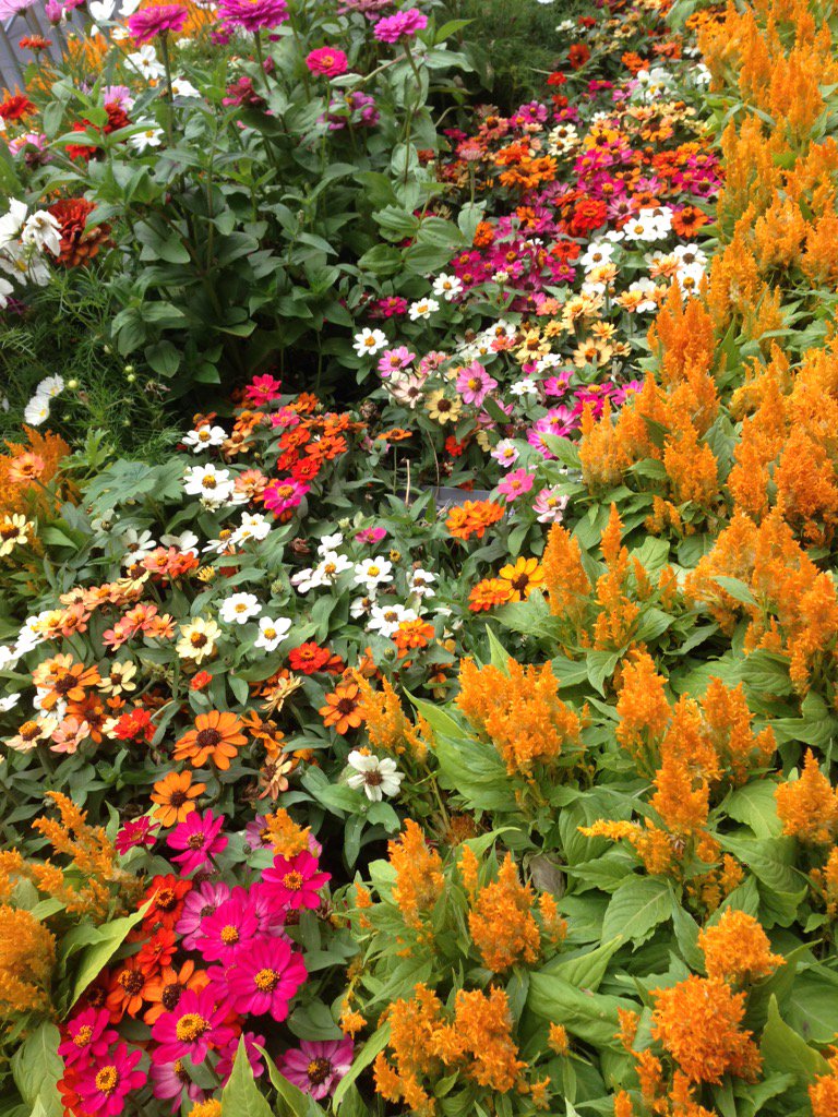 Marianna Pisani (@mpsh) on Twitter photo 