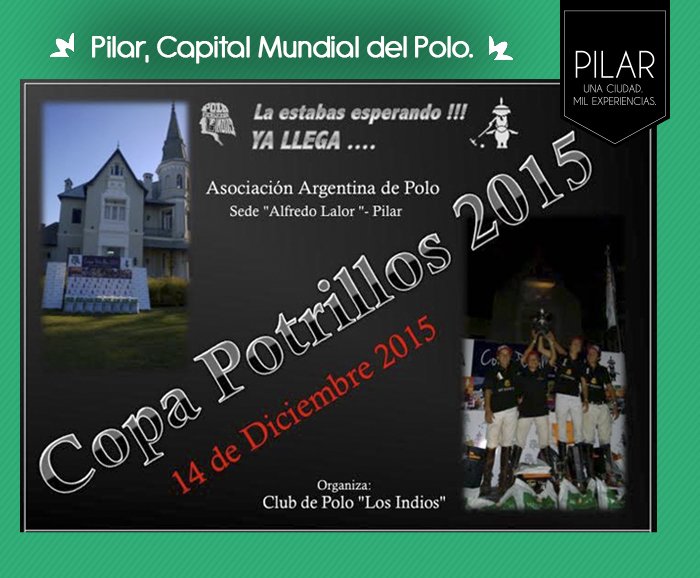 Promoción Pilar tweet media