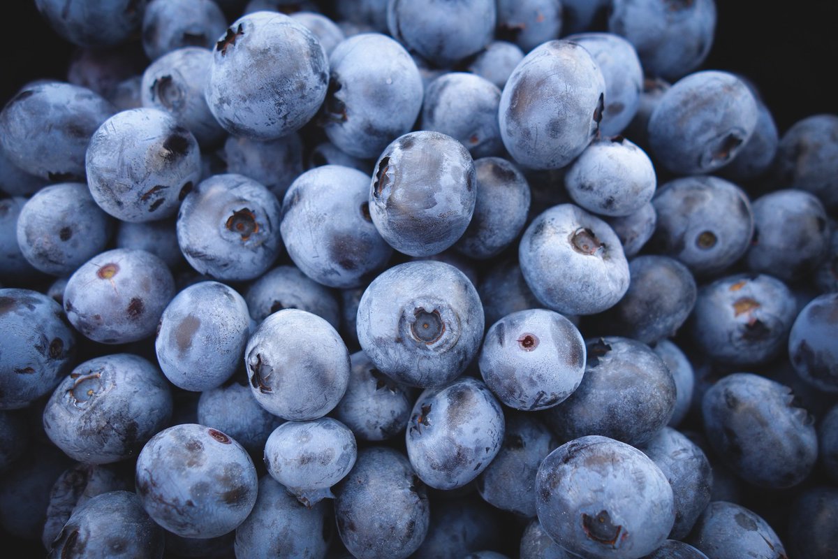 KolorfulCare's tweet photo. #Blueberries are a great brain food &amp; source of energy #FiNoles https://t.co/noPv0tB6ZU